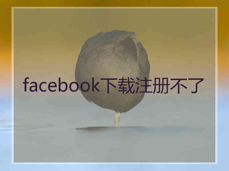 facebook下载注册不了