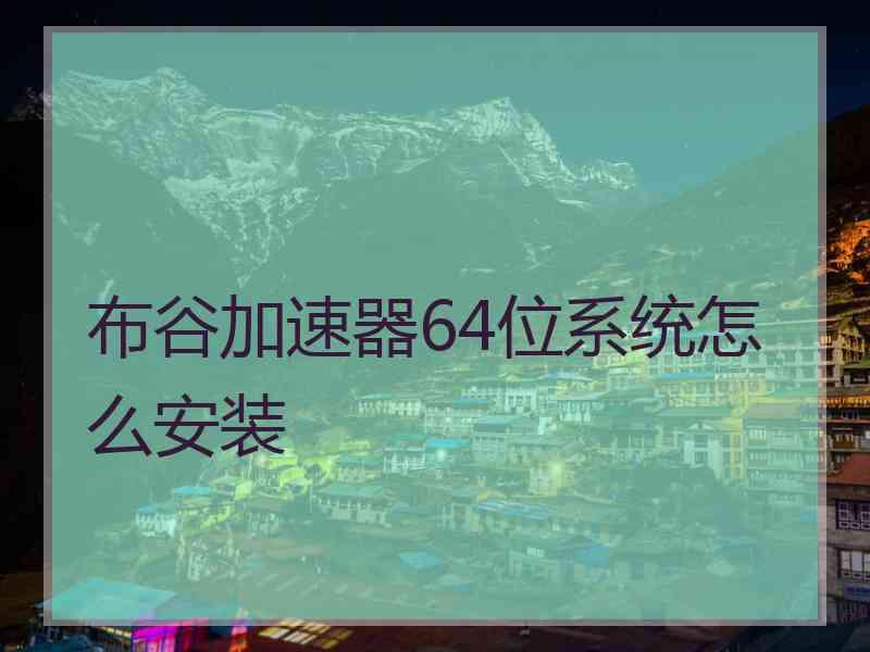 布谷加速器64位系统怎么安装