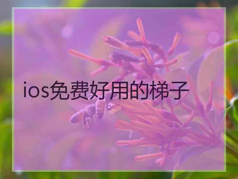 ios免费好用的梯子