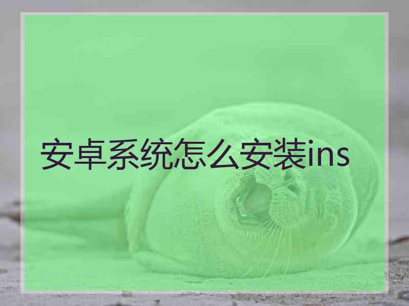 安卓系统怎么安装ins