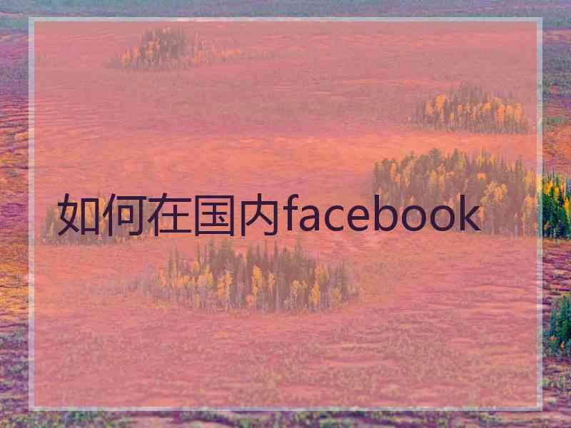 如何在国内facebook