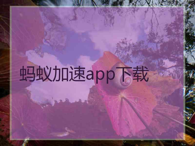 蚂蚁加速app下载