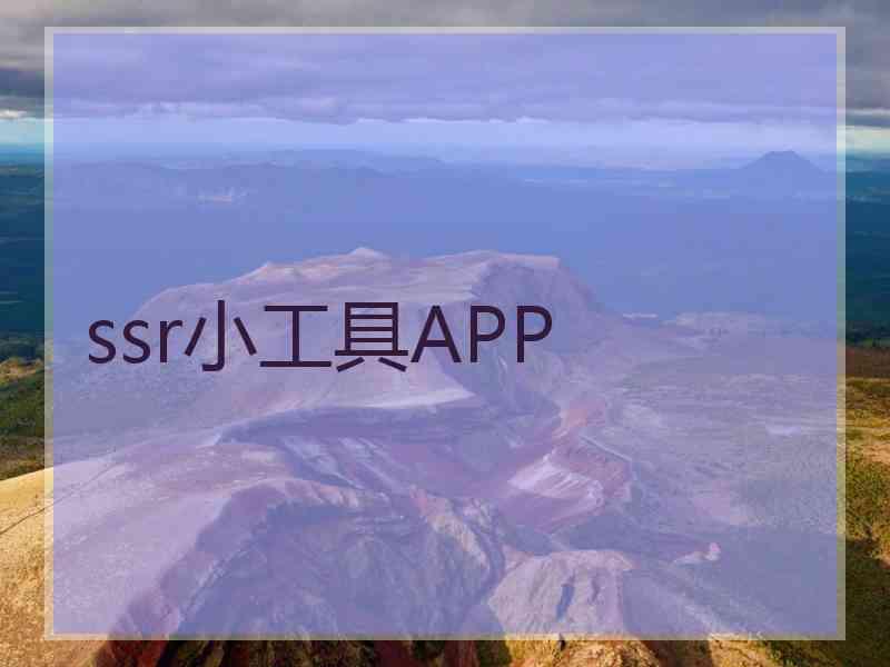 ssr小工具APP