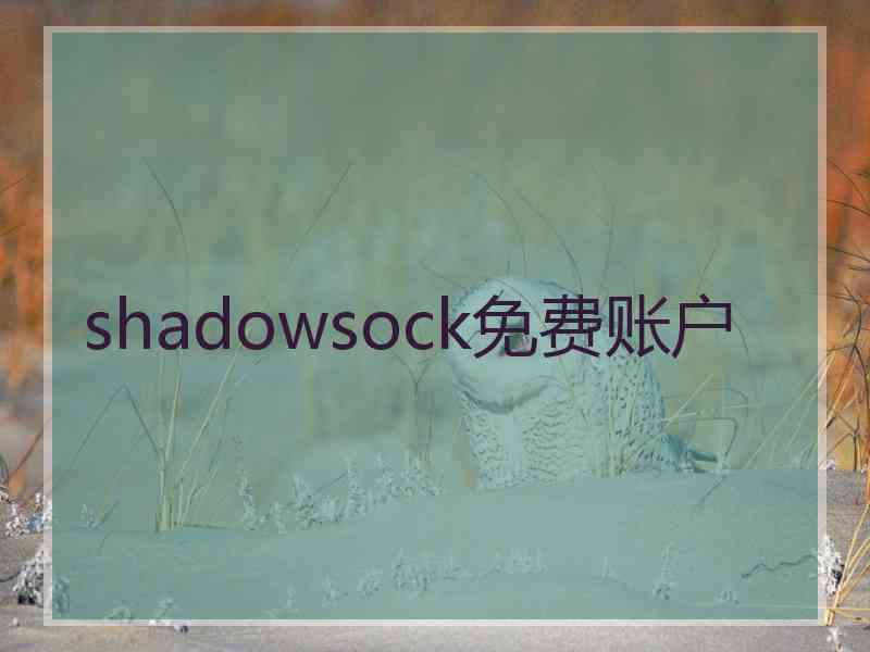 shadowsock免费账户