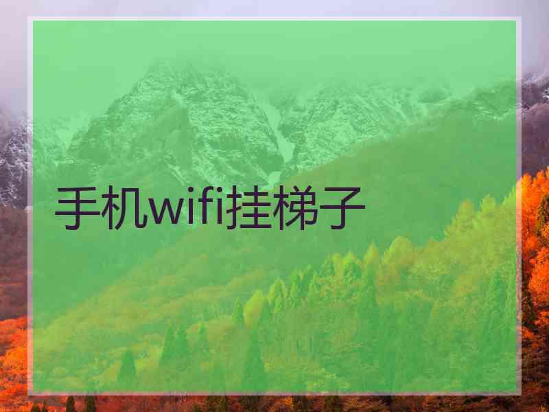 手机wifi挂梯子