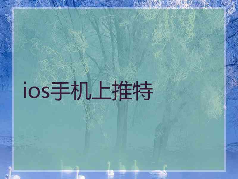 ios手机上推特