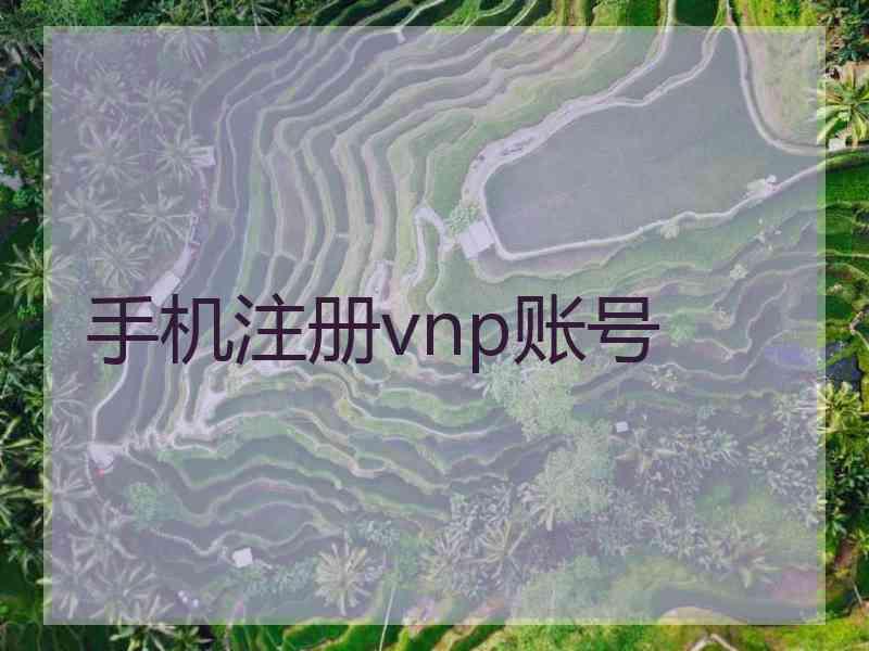 手机注册vnp账号