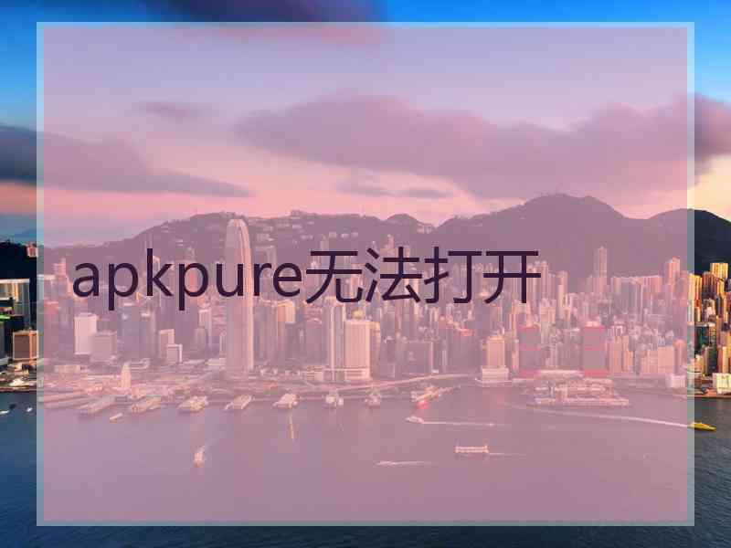 apkpure无法打开