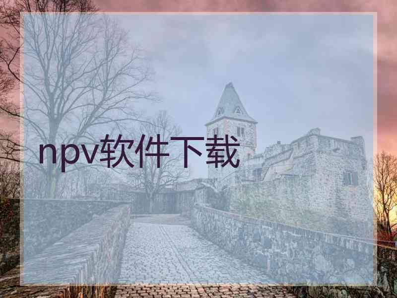 npv软件下载