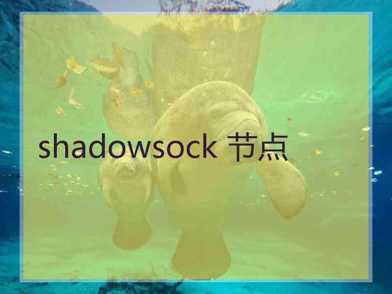 shadowsock 节点