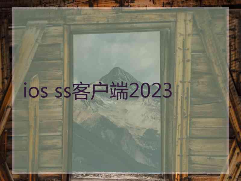 ios ss客户端2023