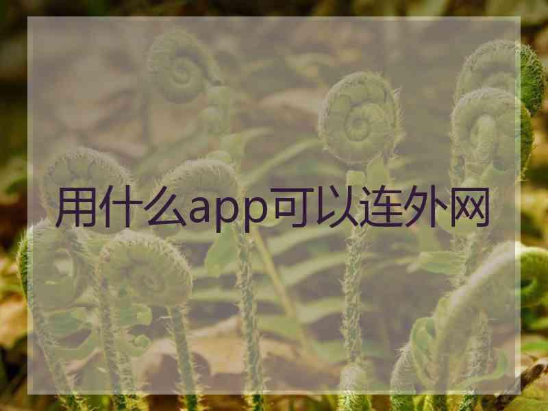 用什么app可以连外网