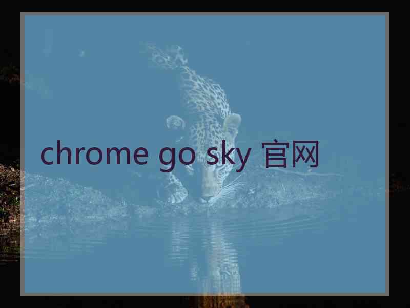 chrome go sky 官网