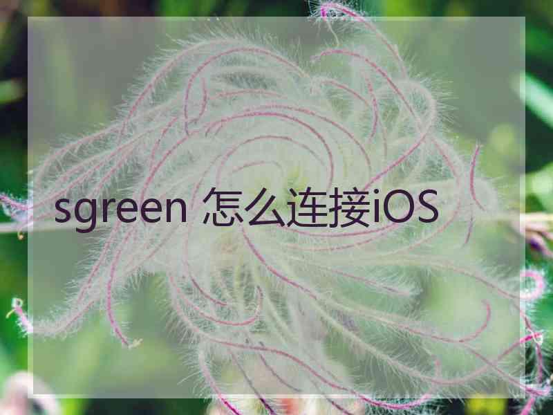 sgreen 怎么连接iOS