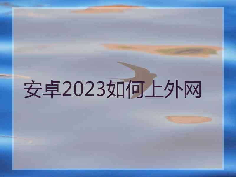 安卓2023如何上外网