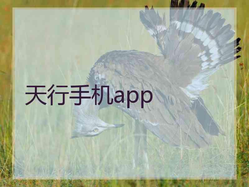 天行手机app