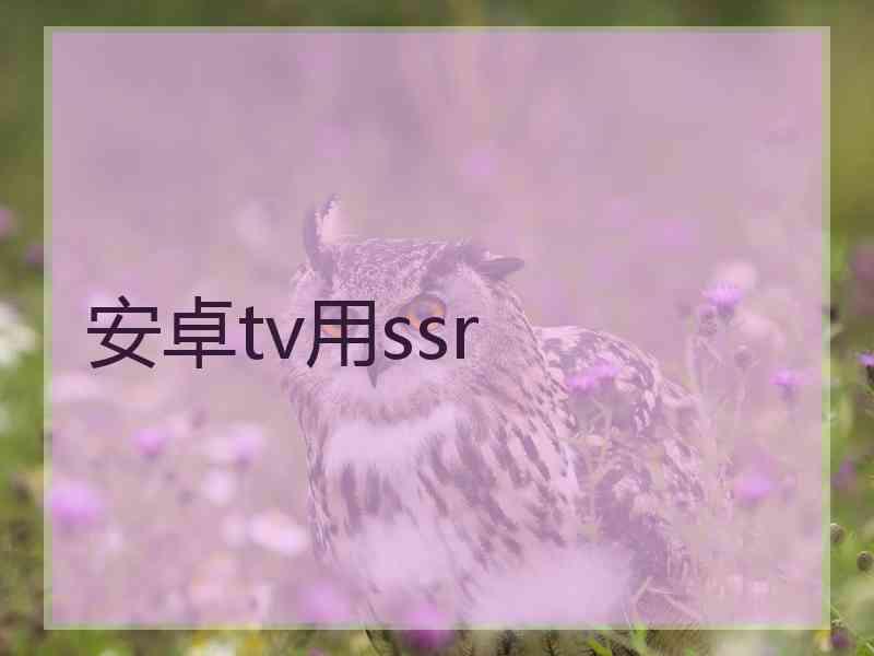 安卓tv用ssr