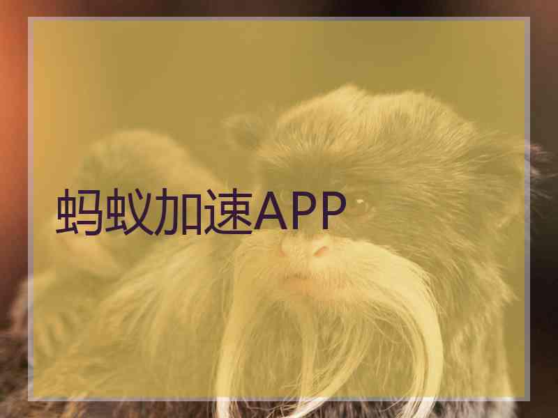 蚂蚁加速APP