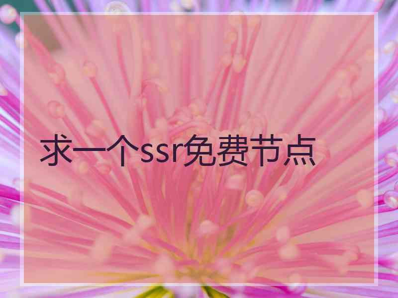 求一个ssr免费节点