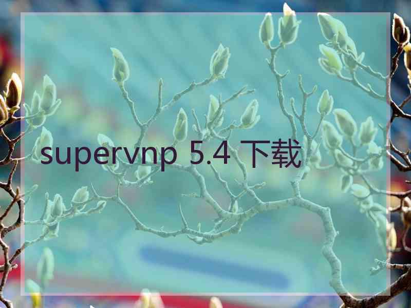 supervnp 5.4 下载