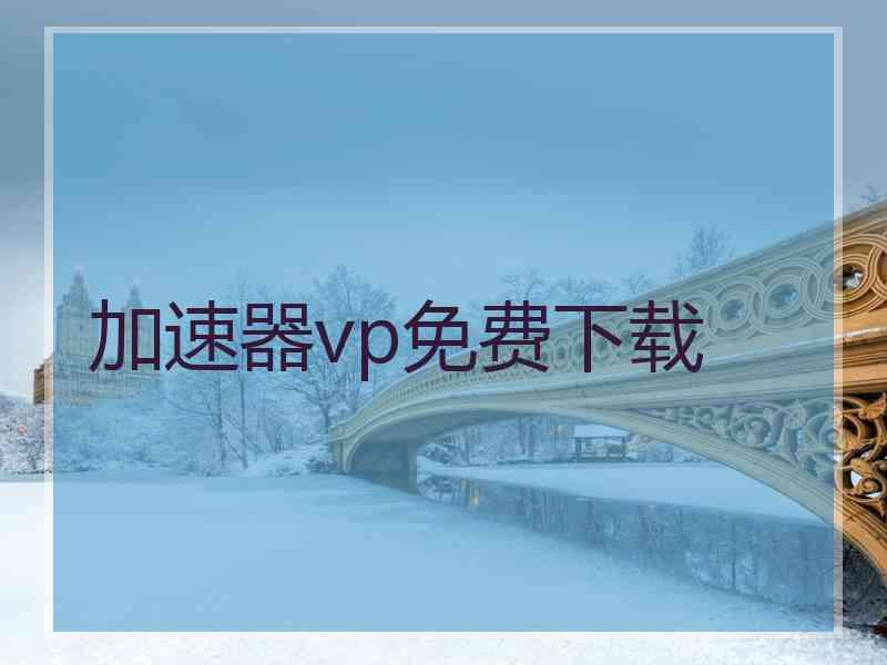 加速器vp免费下载