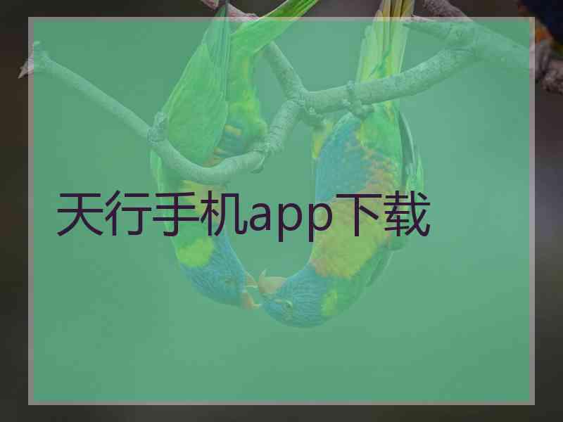 天行手机app下载