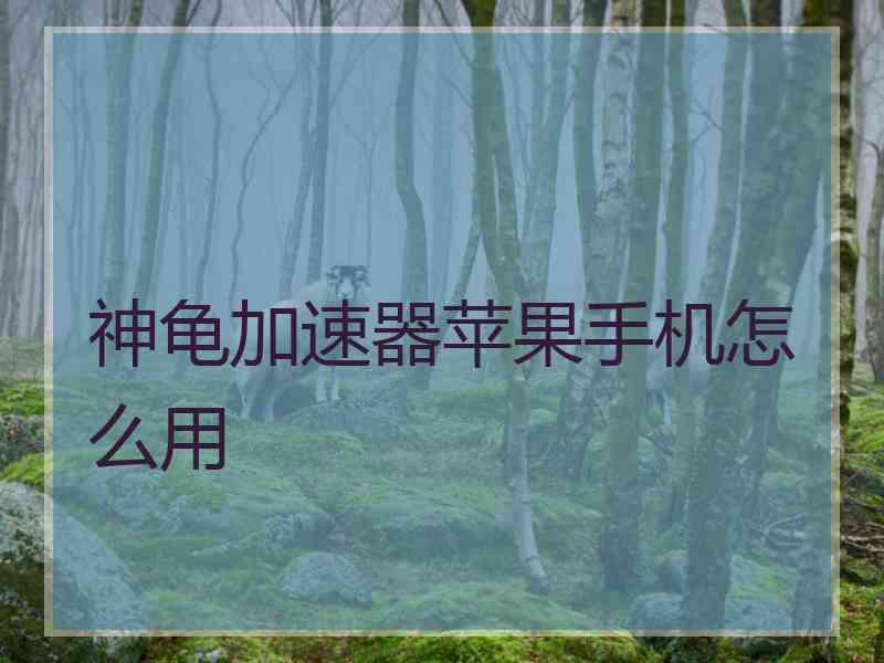 神龟加速器苹果手机怎么用