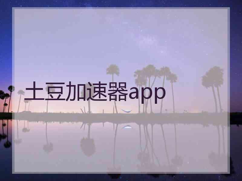 土豆加速器app