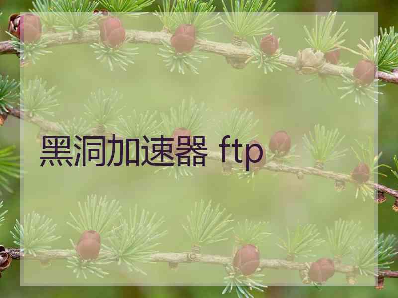 黑洞加速器 ftp