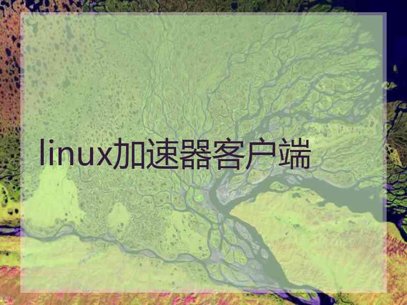 linux加速器客户端