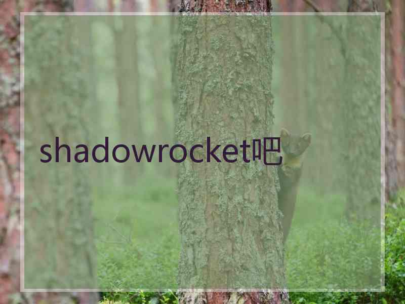 shadowrocket吧