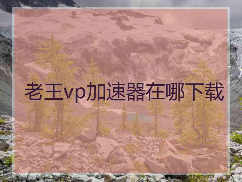 老王vp加速器在哪下载