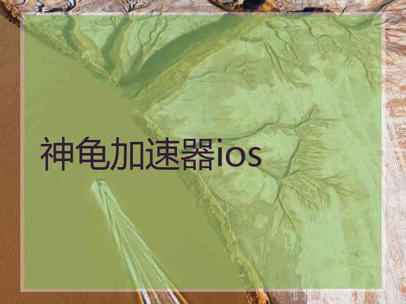 神龟加速器ios