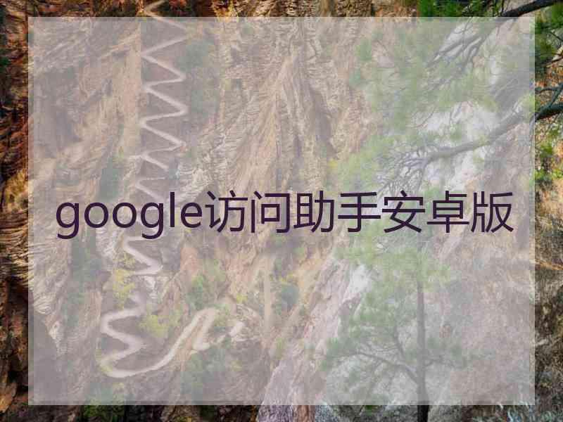 google访问助手安卓版