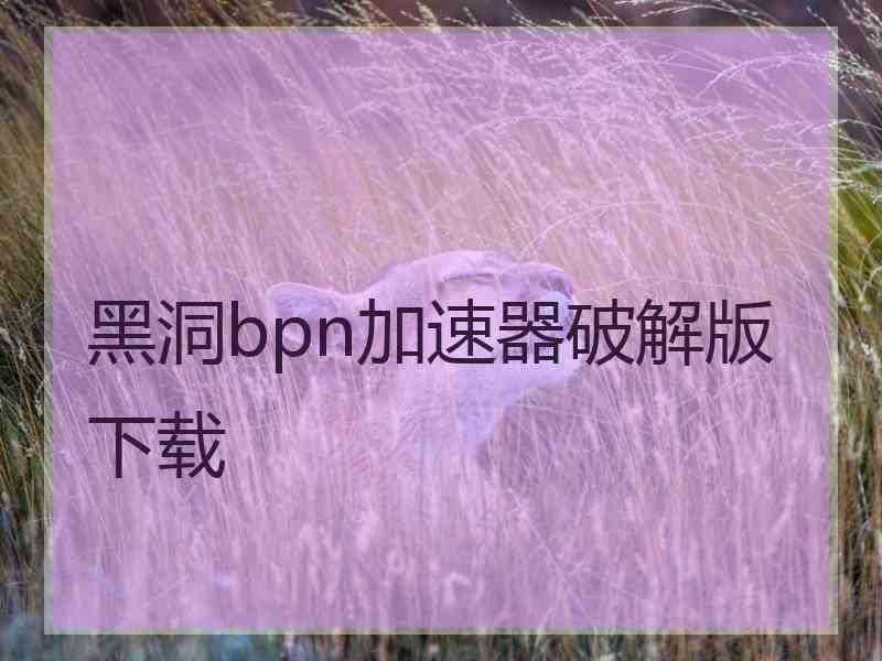 黑洞bpn加速器破解版下载