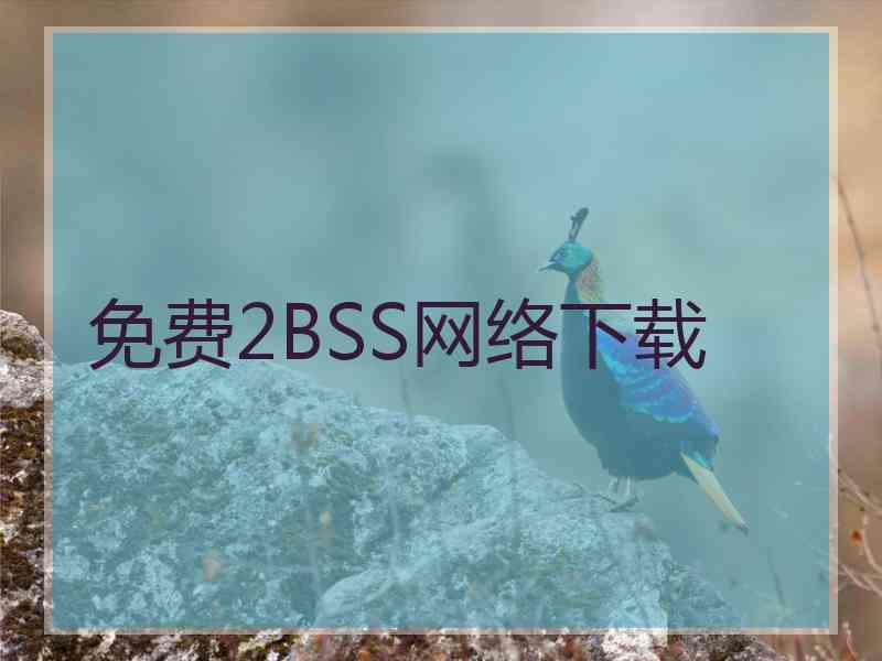 免费2BSS网络下载