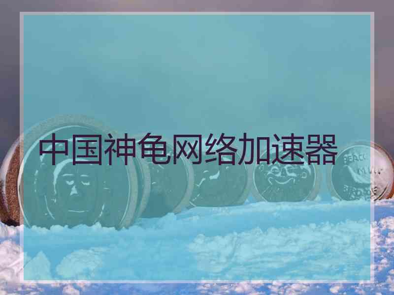 中国神龟网络加速器