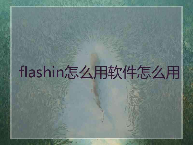 flashin怎么用软件怎么用