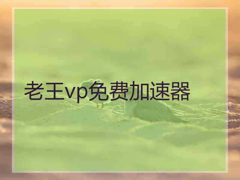 老王vp免费加速器