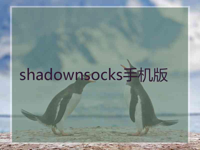 shadownsocks手机版