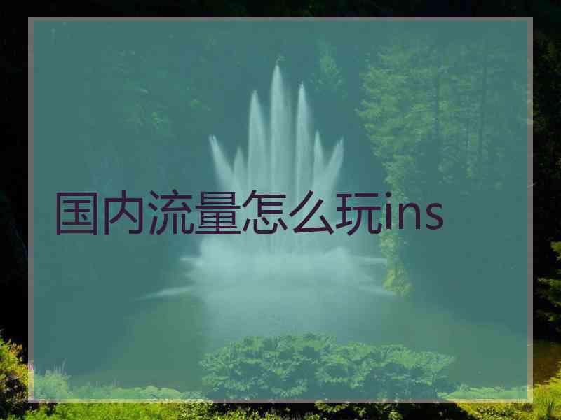 国内流量怎么玩ins