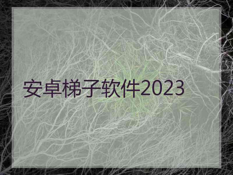 安卓梯子软件2023