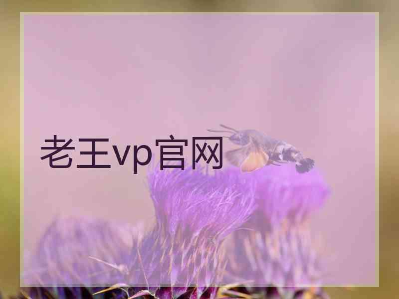 老王vp官网