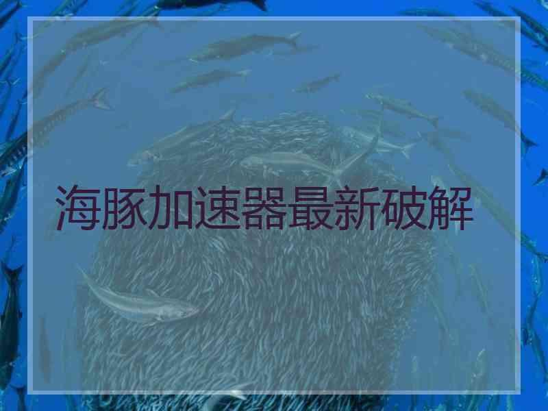 海豚加速器最新破解