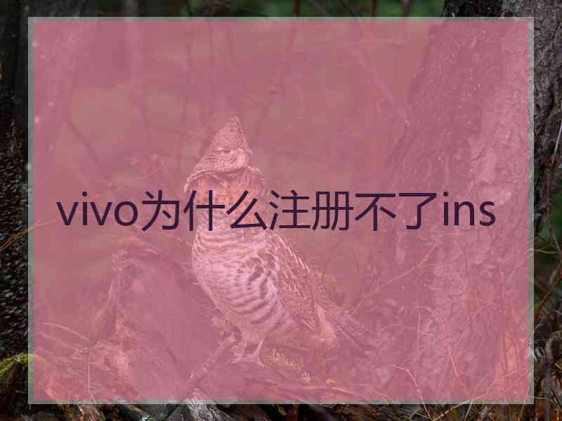 vivo为什么注册不了ins