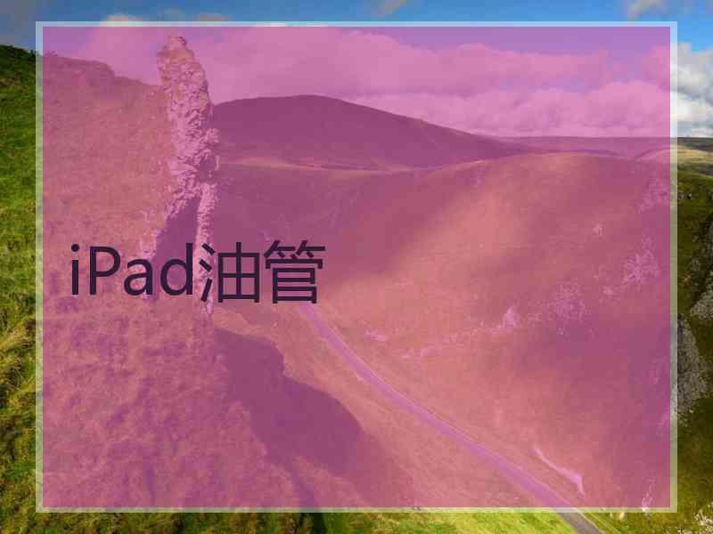 iPad油管