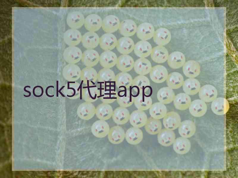 sock5代理app