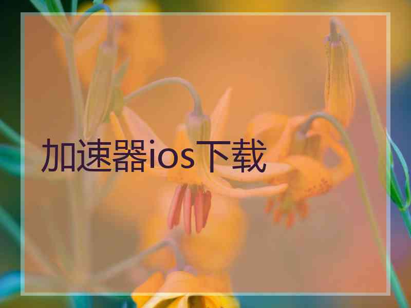 加速器ios下载