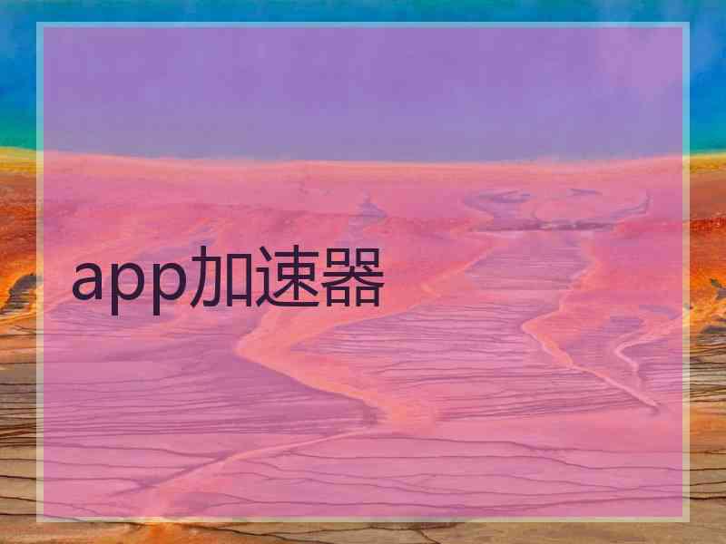 app加速器